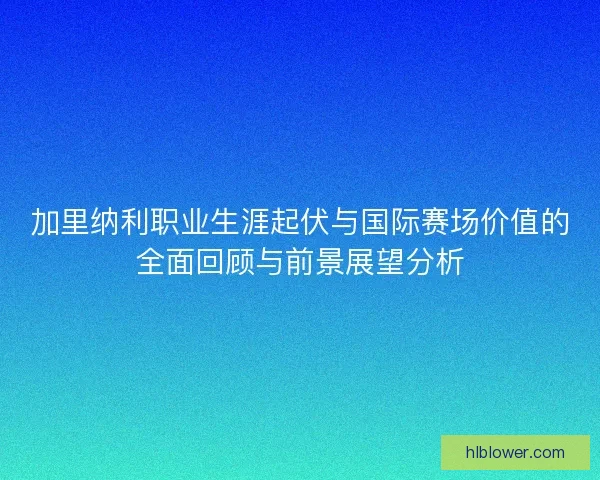 加里纳利职业生涯起伏与国际赛场价值的全面回顾与前景展望分析